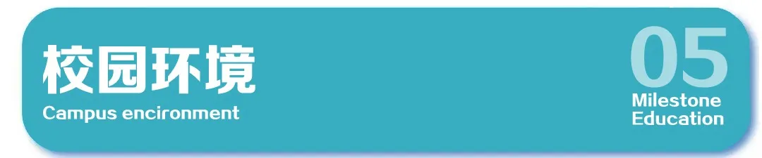 理程碑教育丨吉翼体育体考培训 2026届体育高考集训全面启动(图21) 图片