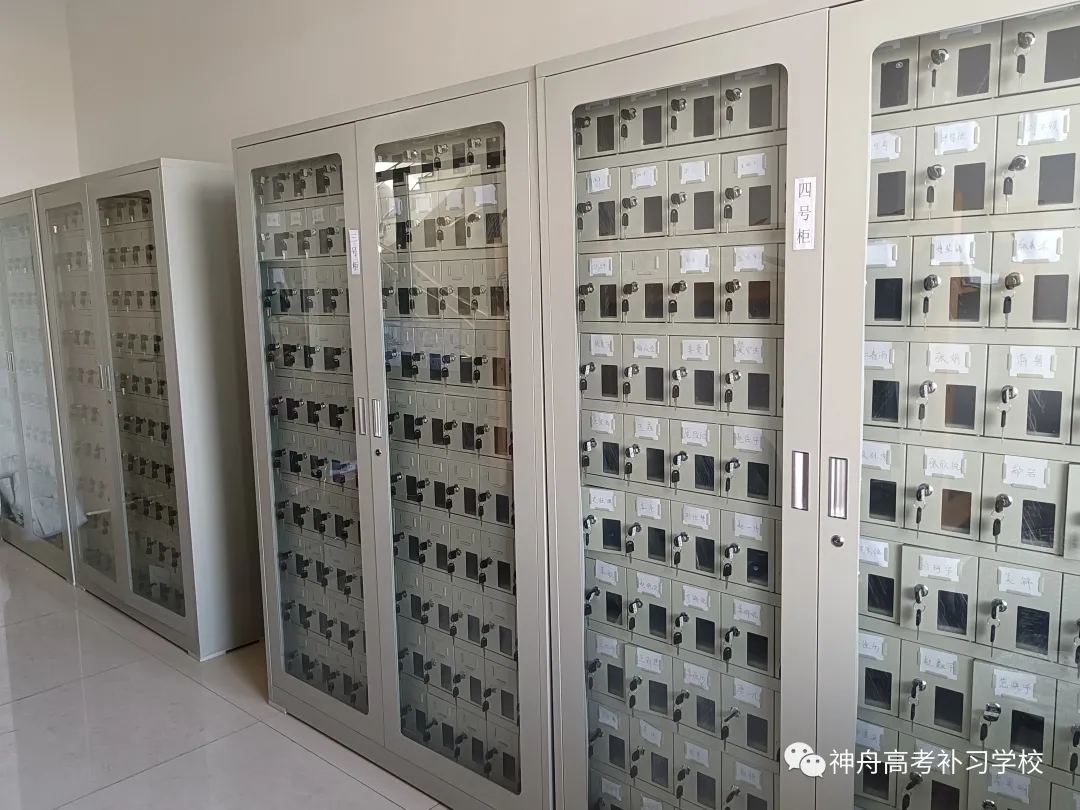 理程碑教育丨吉翼体育体考培训 2026届体育高考集训全面启动(图19) 图片